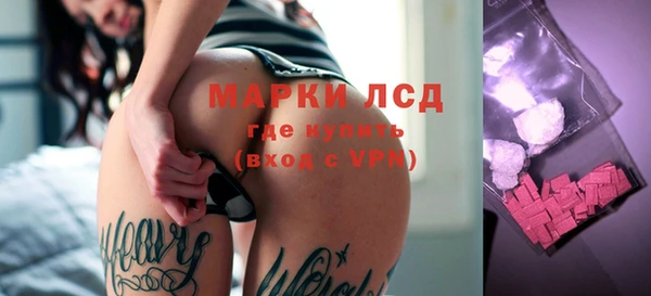 apvp Дмитриев