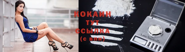 прущая мука Дмитровск