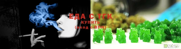 гашик Гусев