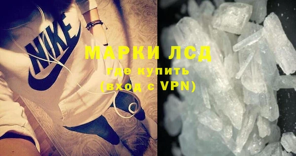 apvp Дмитриев