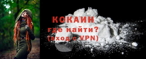 гашик Гусев